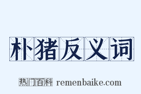 朴猪反义词是什么意思的图片